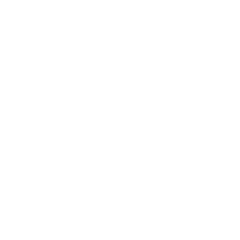 Action