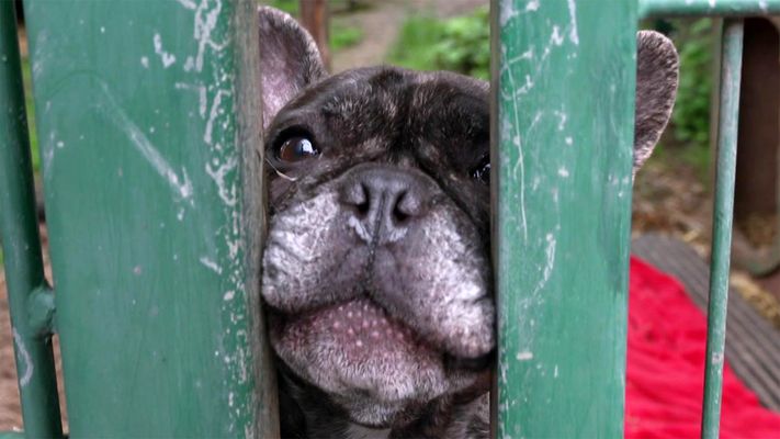 Martin besucht das Tierheim Siegen mit Detlef Steves