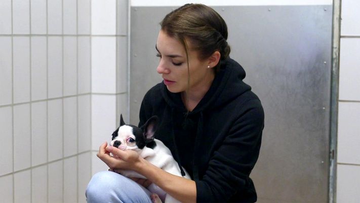 Martin und Sophie im Stuttgarter Tierheim
