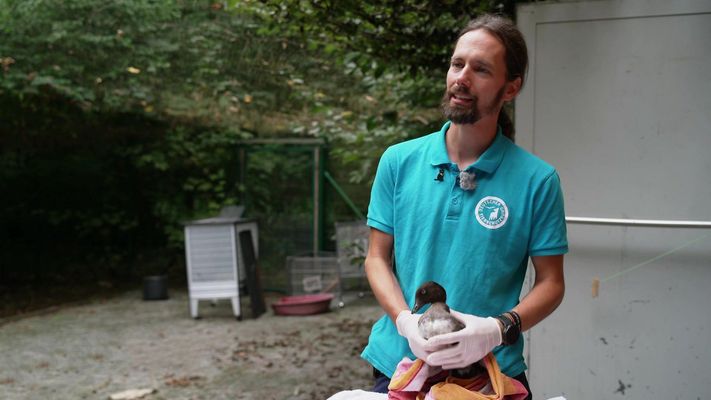 Zu Besuch im Tierschutzzentrum Weidefeld