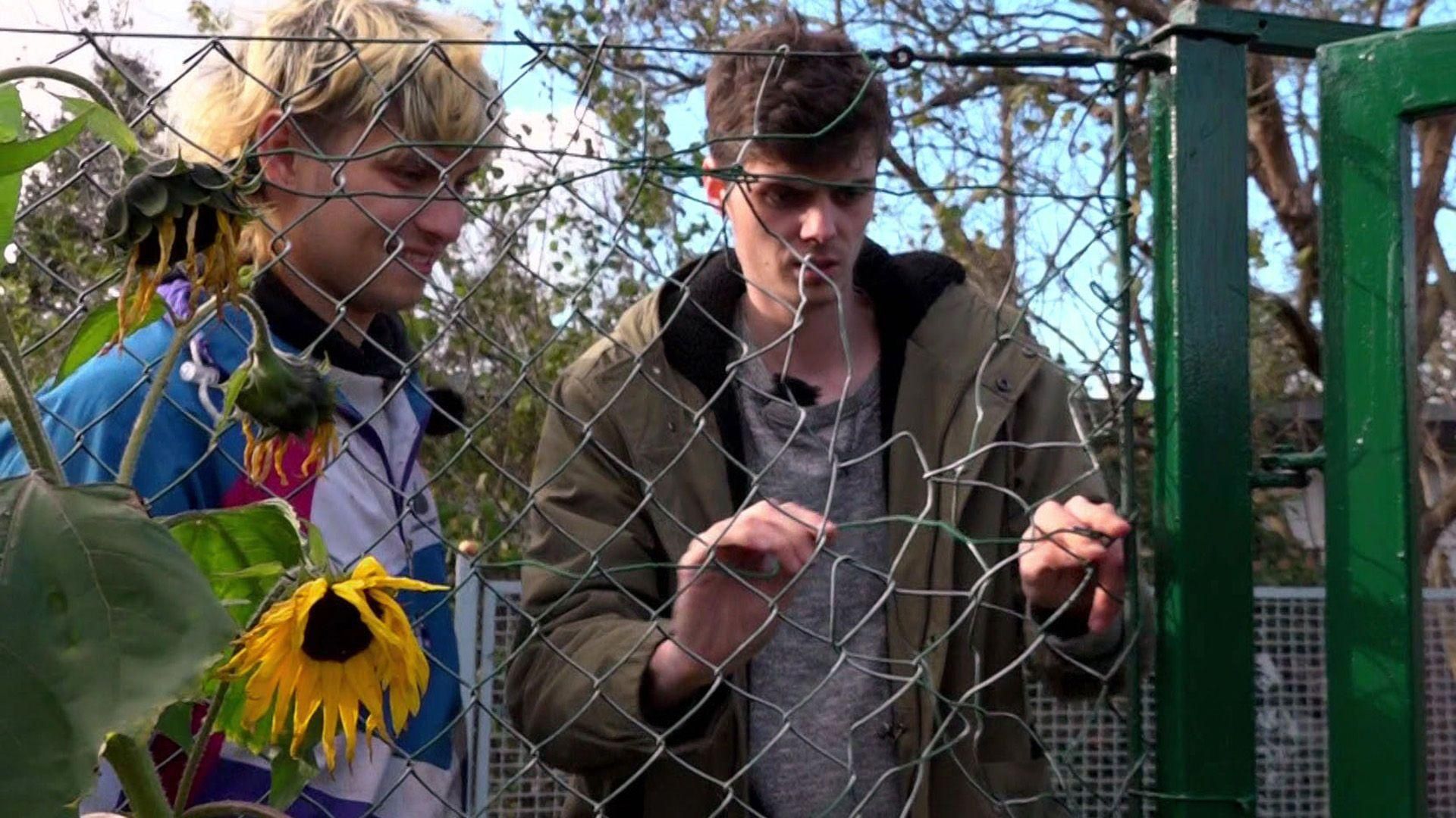 Folge 2 - Von Hecke zu Hecke - Bunte Beetgeschichten - Staffel 1 | RTL+