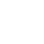 Die Therapie