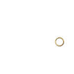 The Golden Bachelor