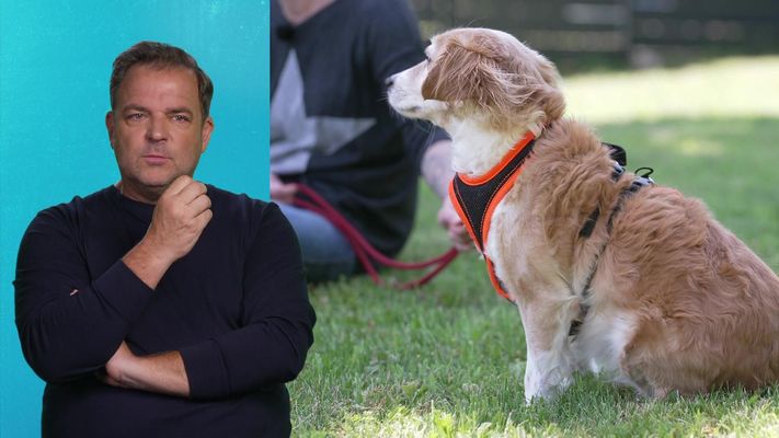 Die Unvermittelbaren - Mit Martin Rütter