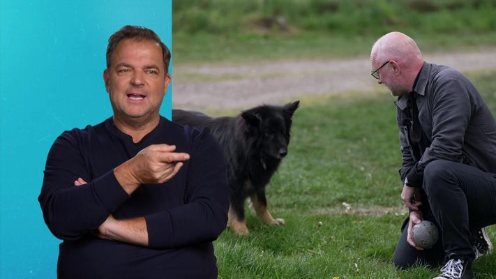 Die Unvermittelbaren - Mit Martin Rütter