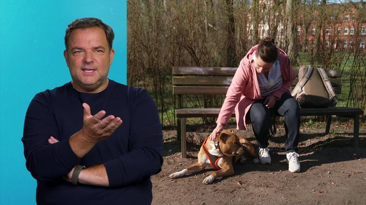 Die Unvermittelbaren - Mit Martin Rütter