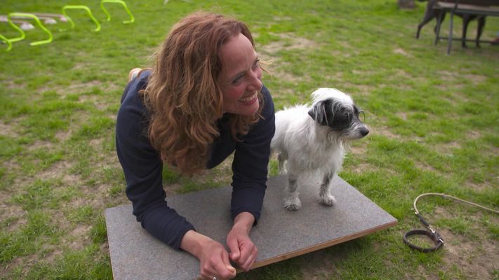 Zirkeltraining für Mensch und Hund