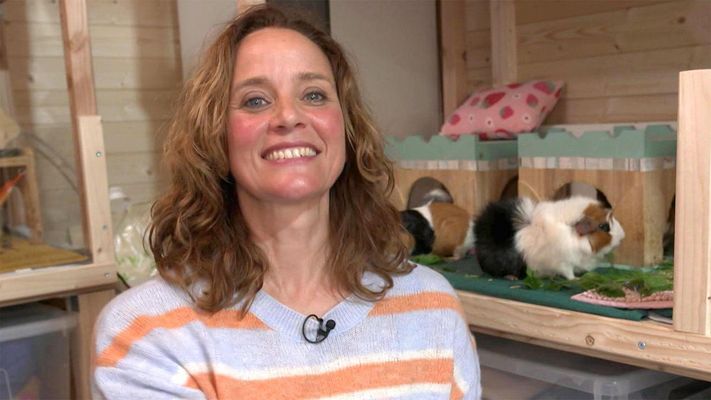 Tierfacts "To Go": alles über Meerschweinchen