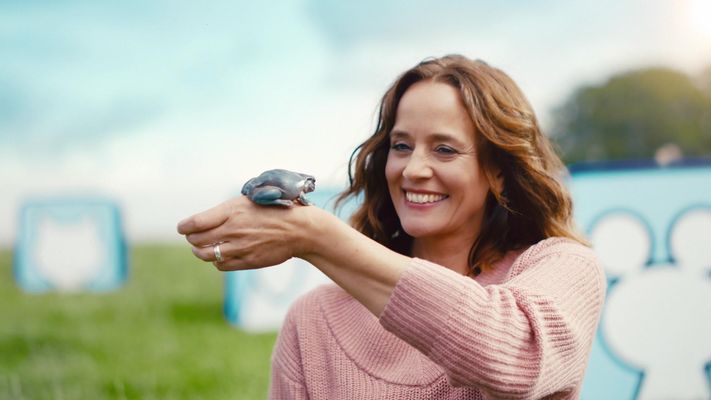 Ein Laufrad für die Katze