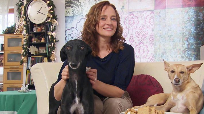 Weihnachtsmenü für Hund