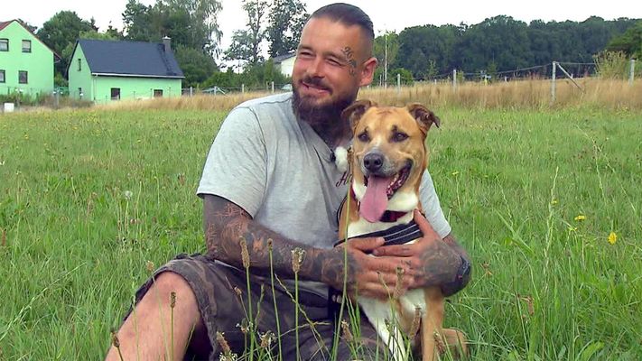 Spezialeinsatz für kranke Hunde