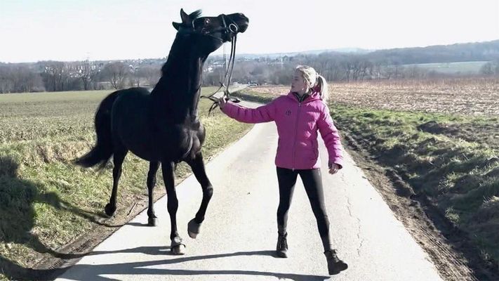 Araber unter Strom