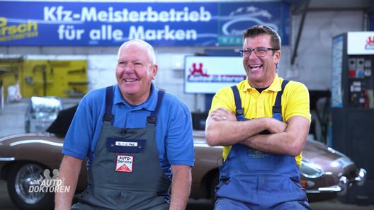 Die Autodoktoren