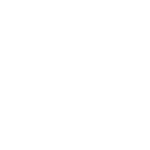 Wild Winter
