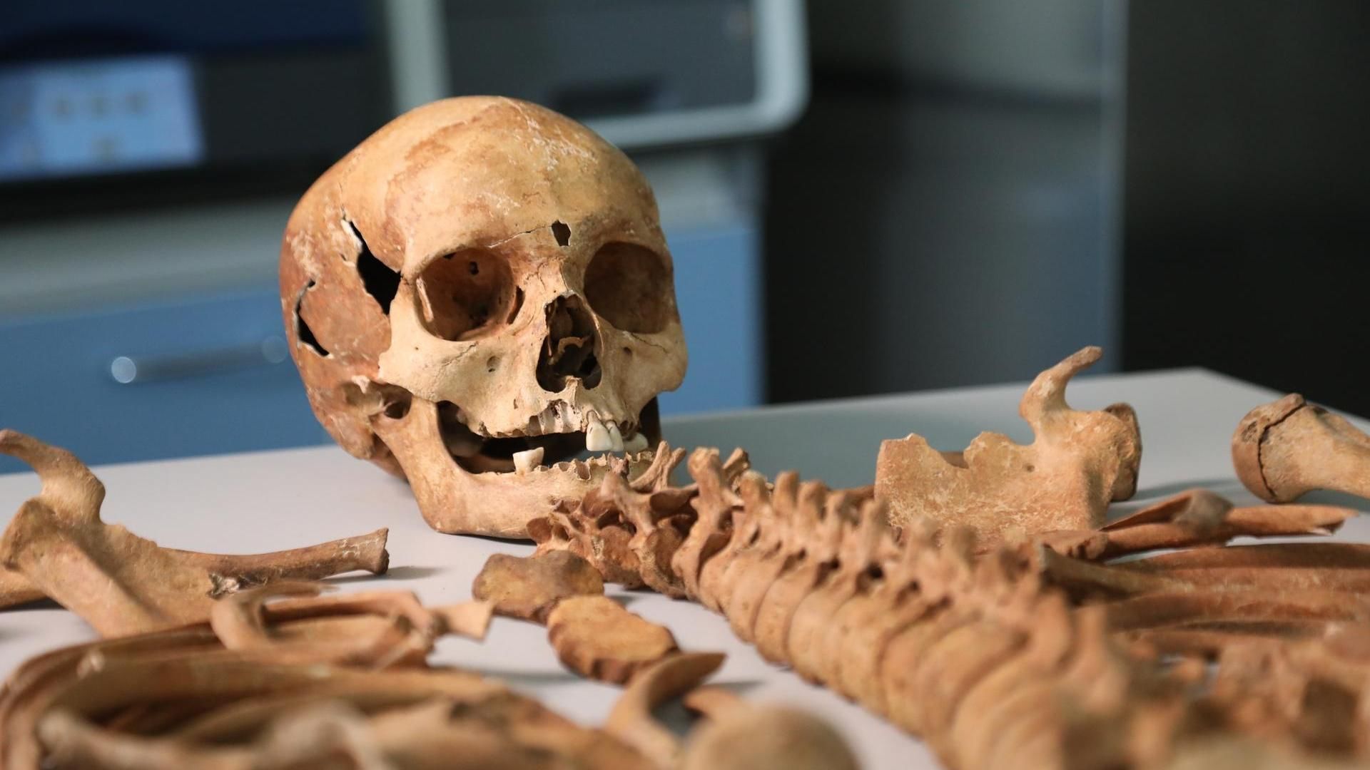Friedhof der Vampire