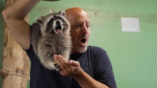 Martin Rütters Tierheimhelden