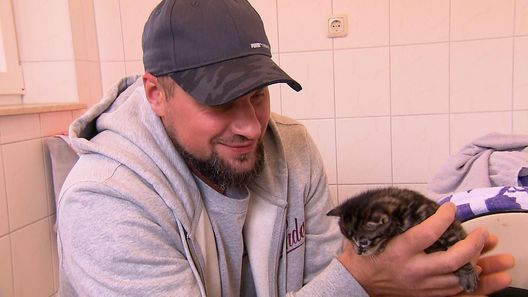 Harte Hunde - Ralf Seeger greift ein