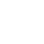 Orphan Black: Echoes