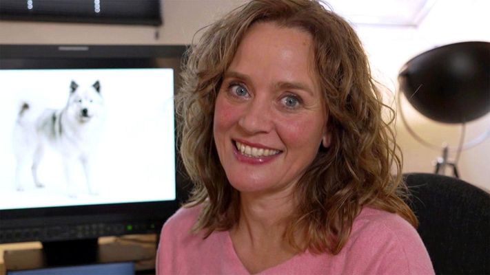 Spielsucht bei Hunden