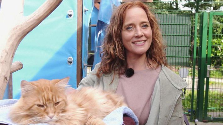 Tipps zum Katzen-Fellwechsel