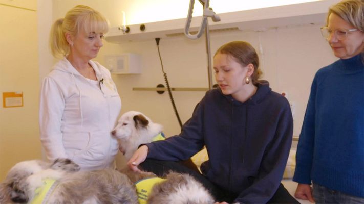 Kuscheltherapie im Krankenhaus