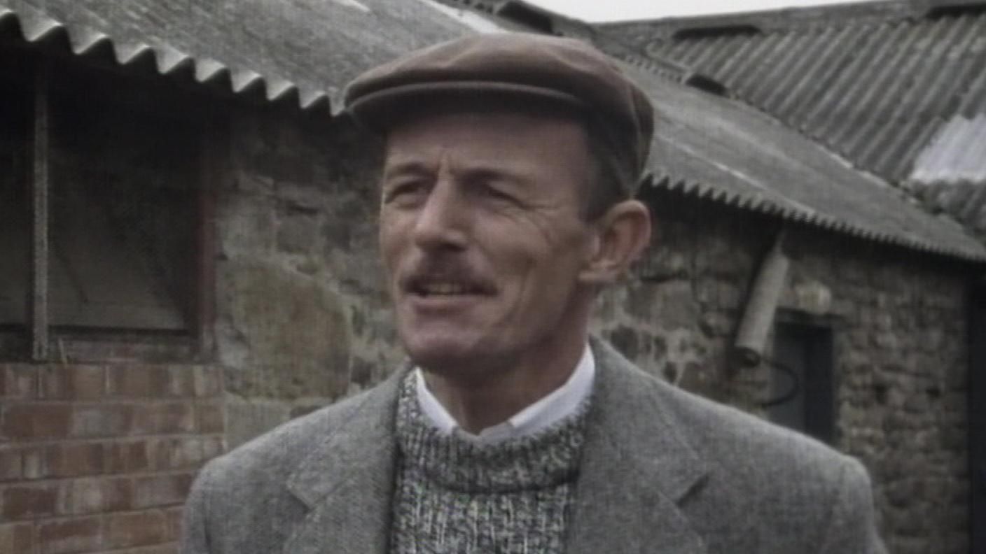 Der Doktor und das liebe Vieh