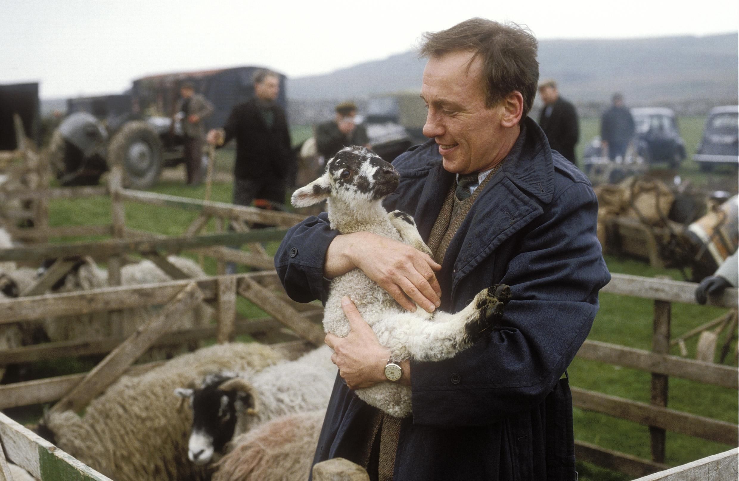 Der Doktor und das liebe Vieh