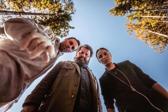 Behringer und die Toten - Ein Bamberg-Krimi