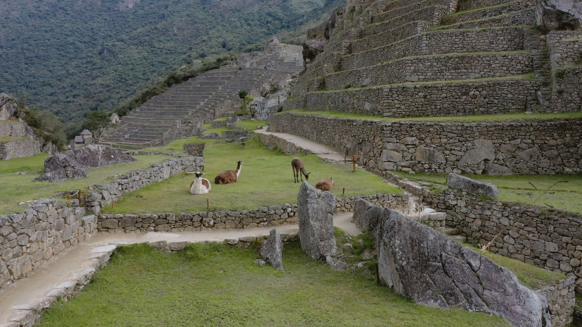 Machu Picchu - Das Geheimnis der Inka-Baumeister