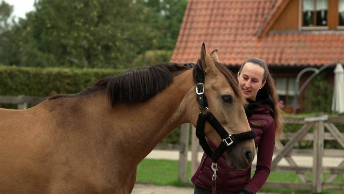 U. a.: Die widerspenstige Jungstute La Belle