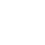 Der Schatten