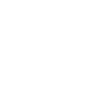 Die Unzerquizbaren