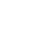 MMA trifft auf Ninja Warrior