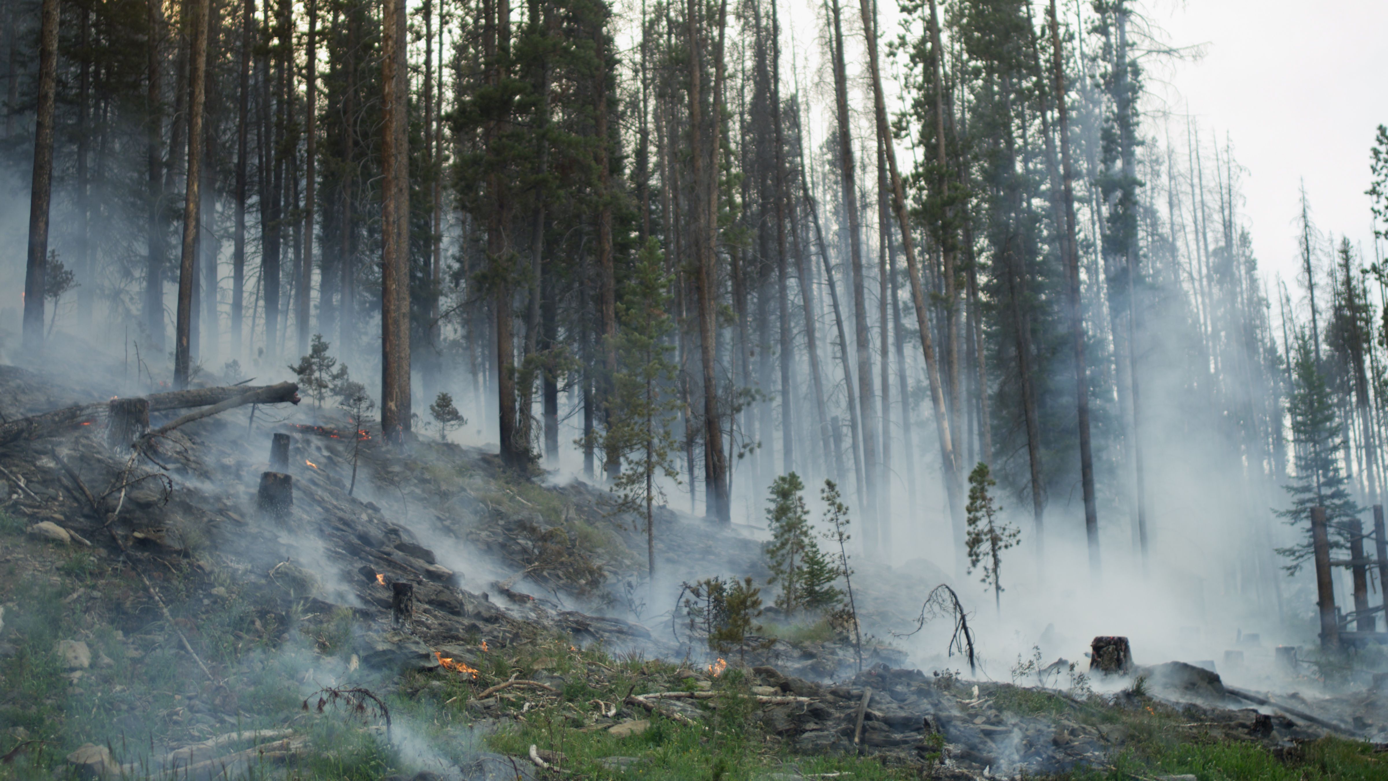 Die Erde aus dem All