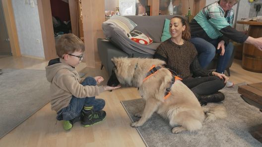 Die Welpen kommen - Mit Martin Rütter