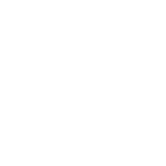 Rooster