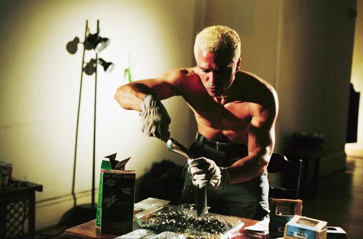 Criminal Intent - Verbrechen im Visier