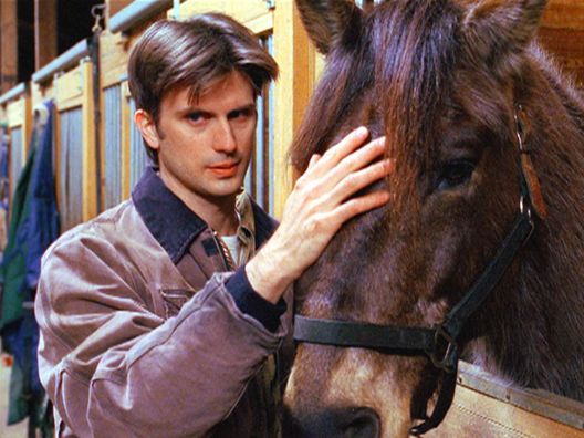 Criminal Intent - Verbrechen im Visier