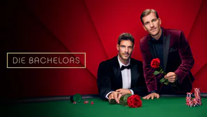 Bild zu: "Die Bachelors"