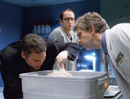 Criminal Intent - Verbrechen im Visier