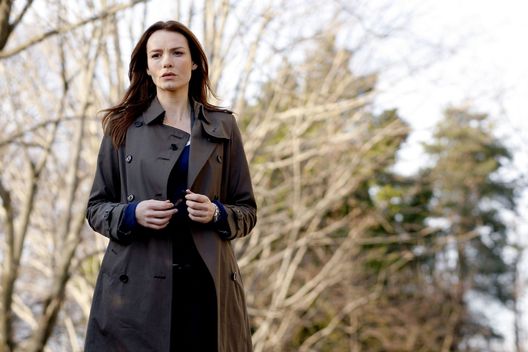 Criminal Intent - Verbrechen im Visier