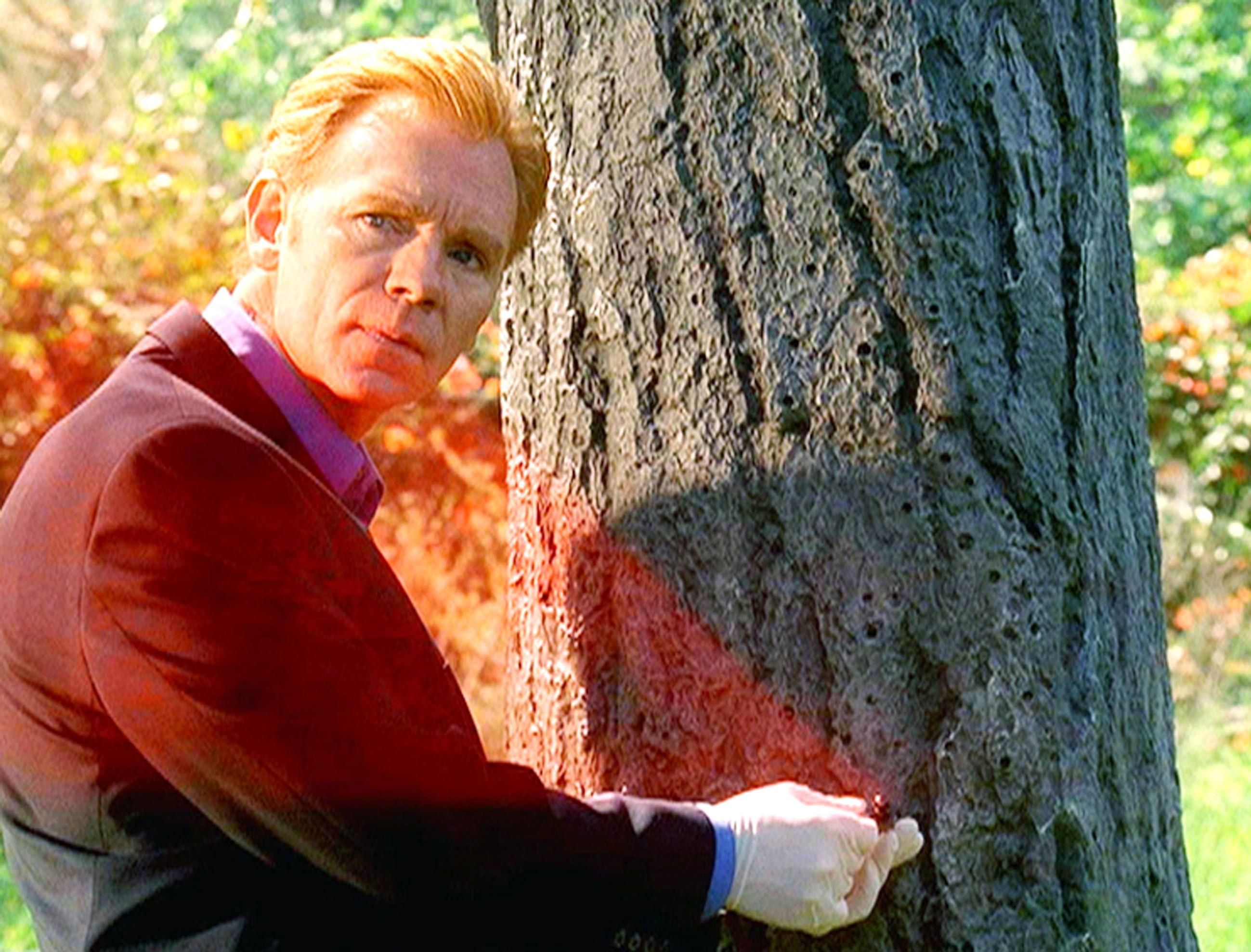 CSI: Miami