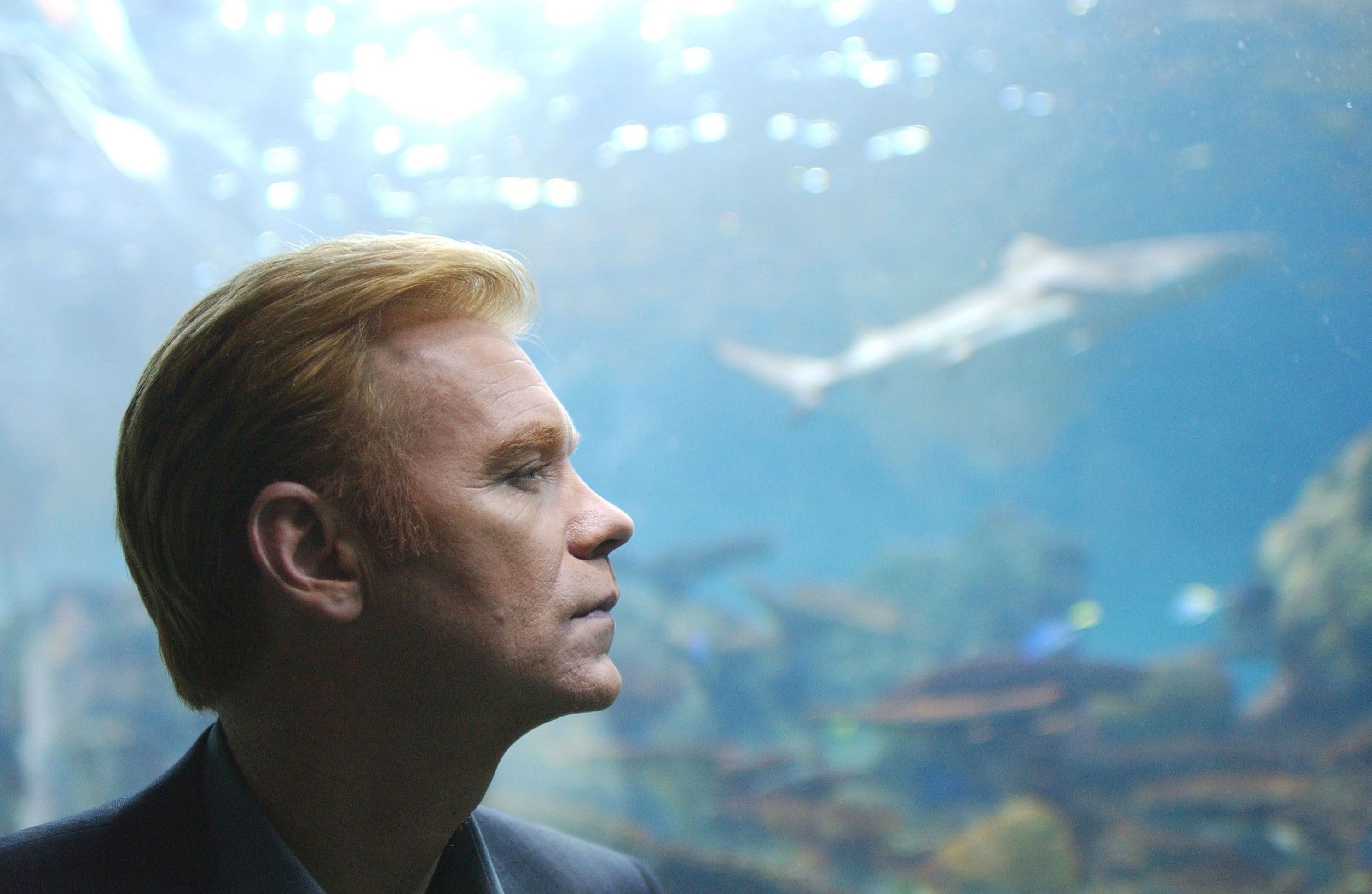CSI: Miami