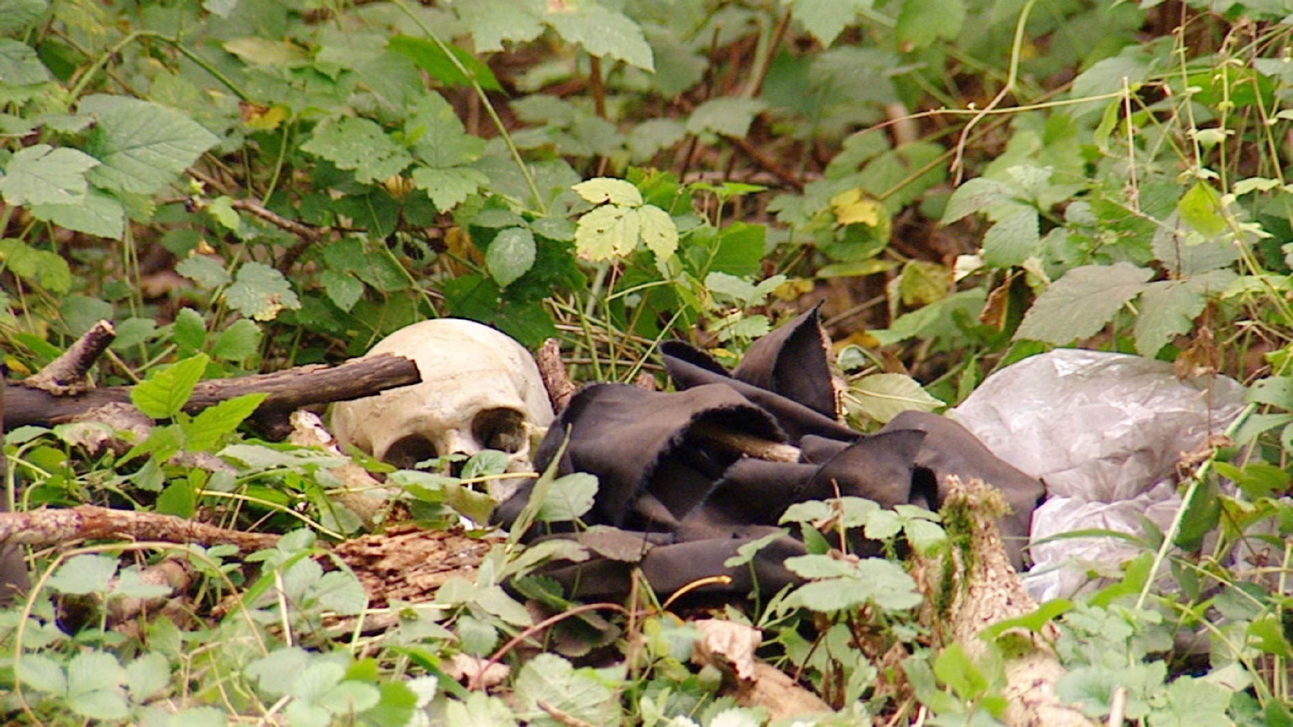 Anwälte der Toten - Rechtsmediziner decken auf