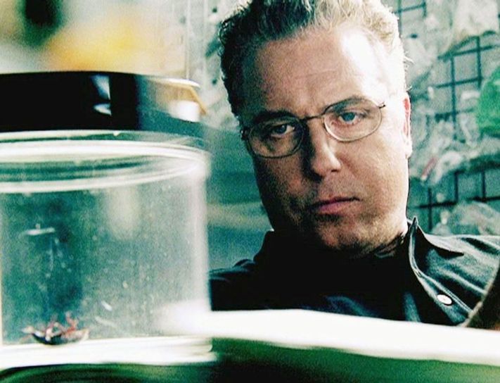 CSI: Den Tätern auf der Spur