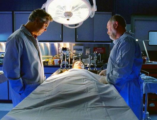 CSI: Den Tätern auf der Spur