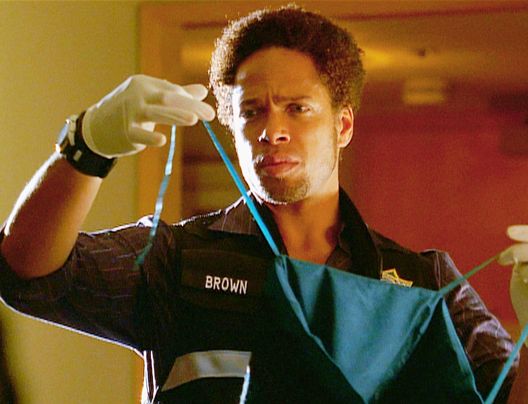 CSI: Den Tätern auf der Spur