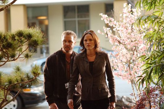 CSI: Den Tätern auf der Spur