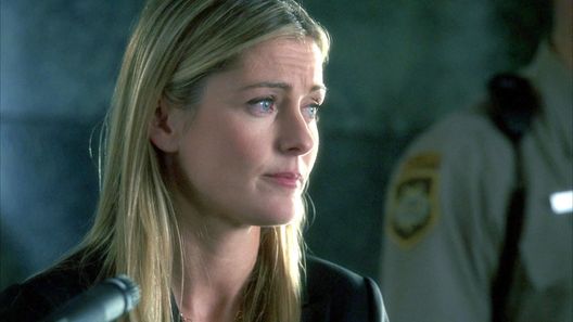 CSI: Den Tätern auf der Spur