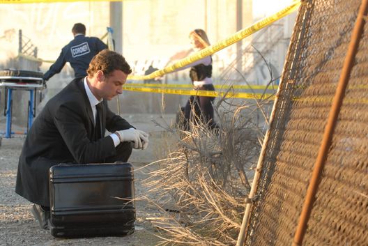 CSI: Den Tätern auf der Spur